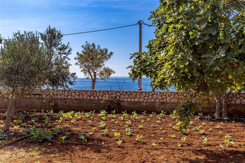 Apartments Ivan Sea View Lun