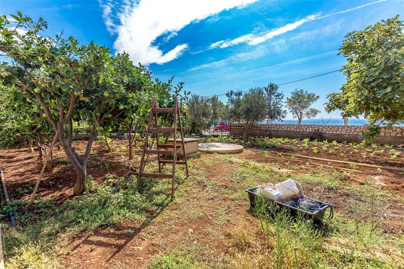 Apartments Ivan  Sea View in Peaceful Lun