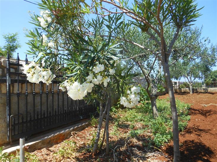 Apartments Ivan  Sea View in Peaceful Lun