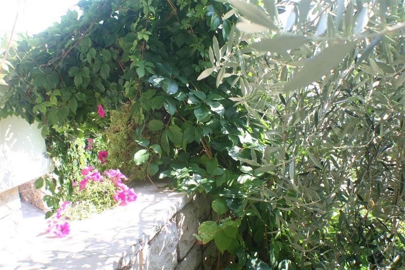 Apartments and Rooms LEA