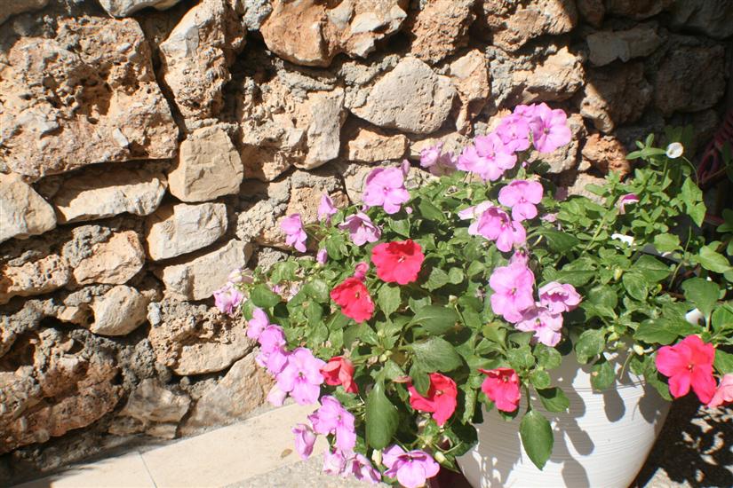 Apartments and Rooms LEA