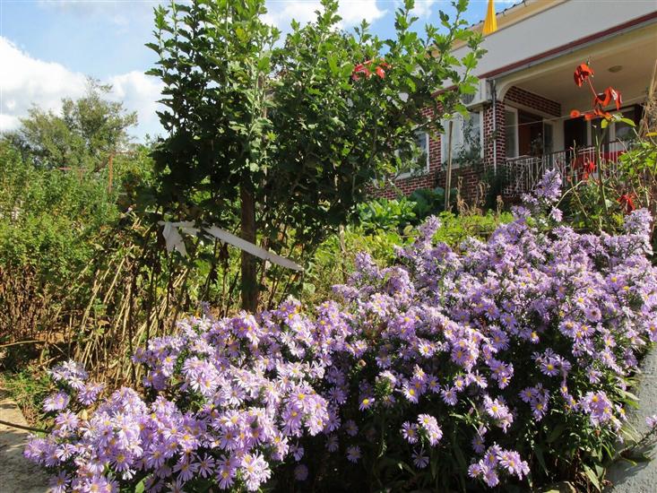 Ferienwohnungen Dragica C.