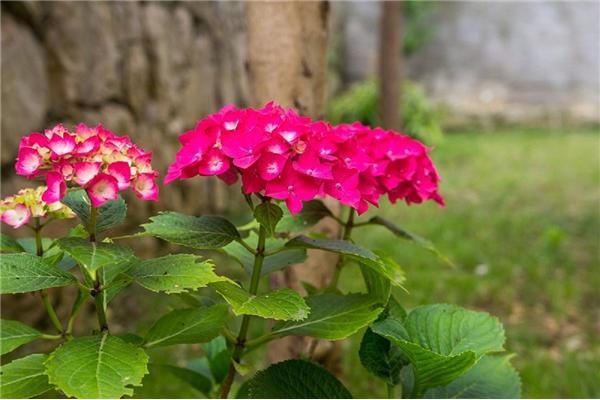 Apartment A1, for 2 persons