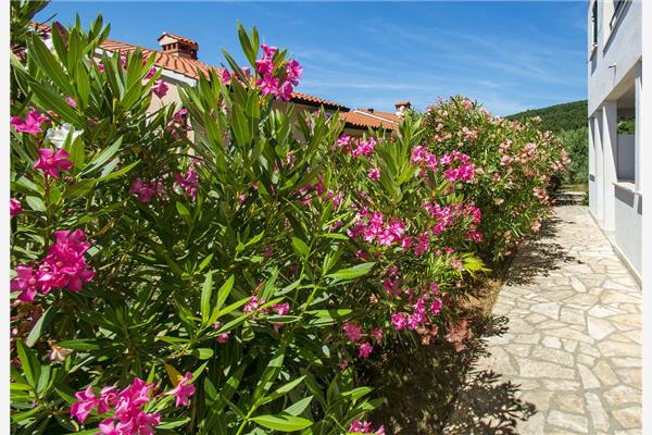 Apartment A1, for 2 persons