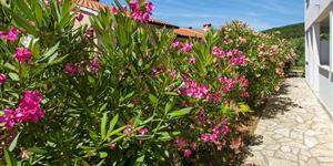 Apartman - Rabac