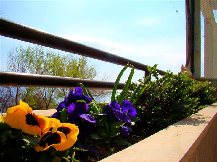 Apartmaji Anka 50m from the beach