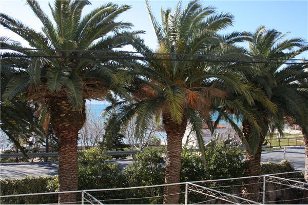 Apartment A5, for 4 persons