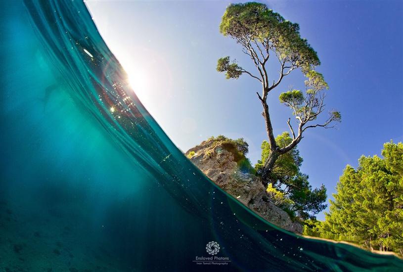 Apartments Mira Beachfront Bliss