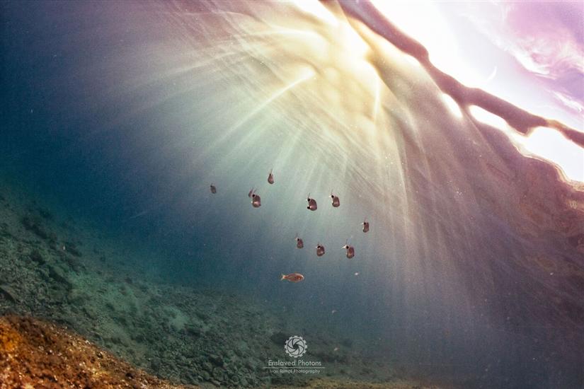 Apartments Mira Beachfront Bliss