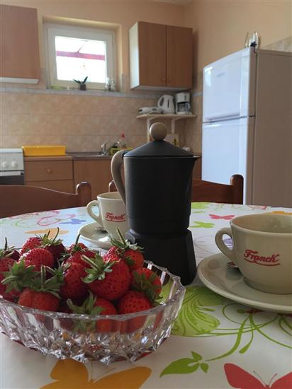 Apartment A2, for 4 persons