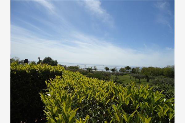 Ferienwohnung A1, für 5 Personen