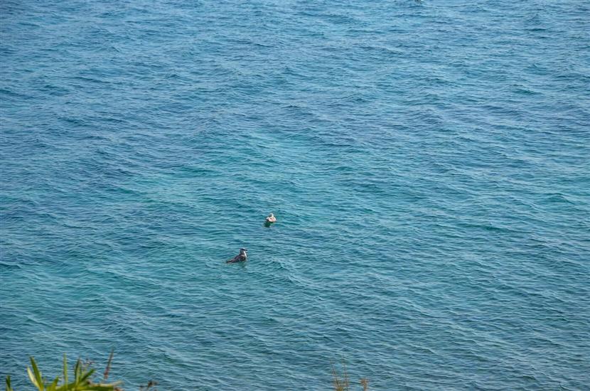 Apartments Barbie Perna