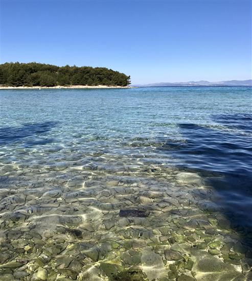 Apartment DOT Deluxe