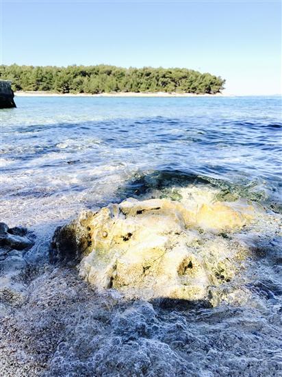 Apartment DOT Deluxe