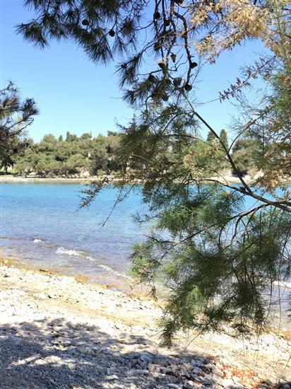 Apartment DOT Deluxe