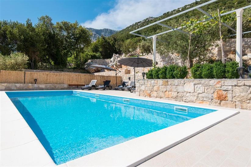 House Hidden Treasure