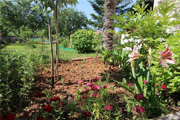 Apartment A1, for 3 persons