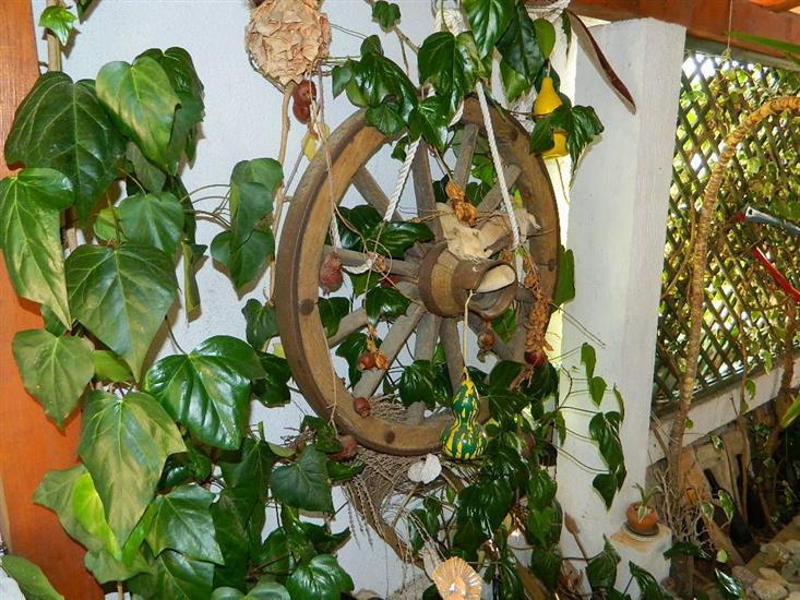 Apartment and Room Darinka