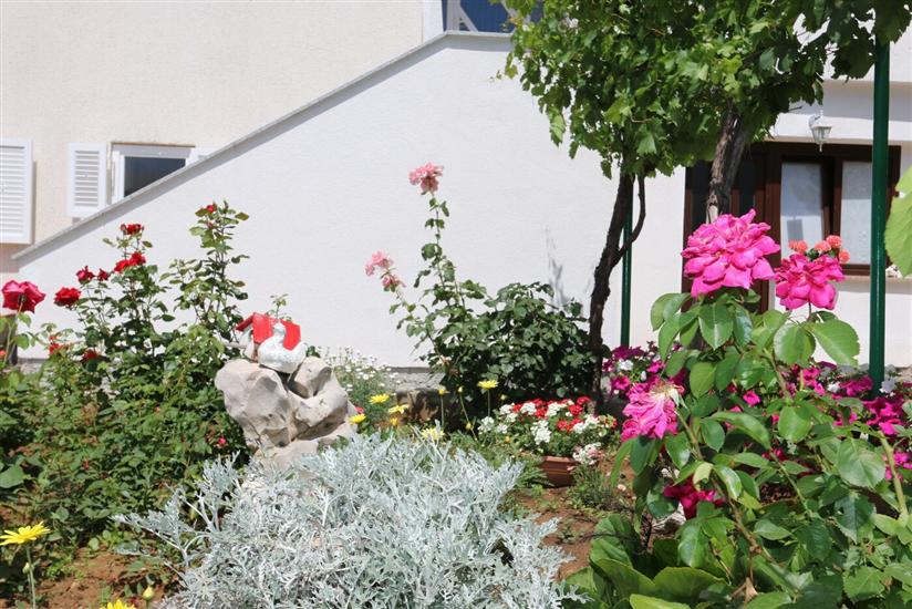 Lägenheter Brusic Ana