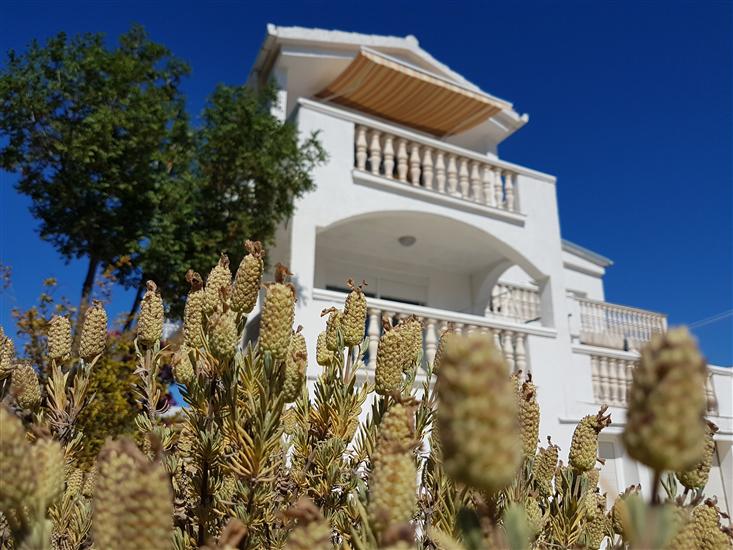 Lägenheter Adriatic