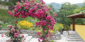 Apartment - Moscenicka Draga (Opatija)