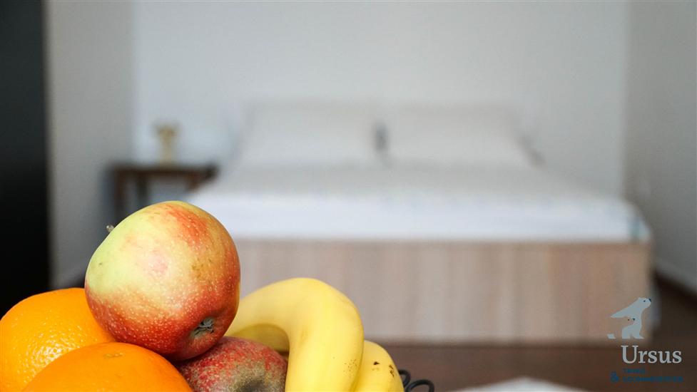 Appartement A1, pour 7 personnes