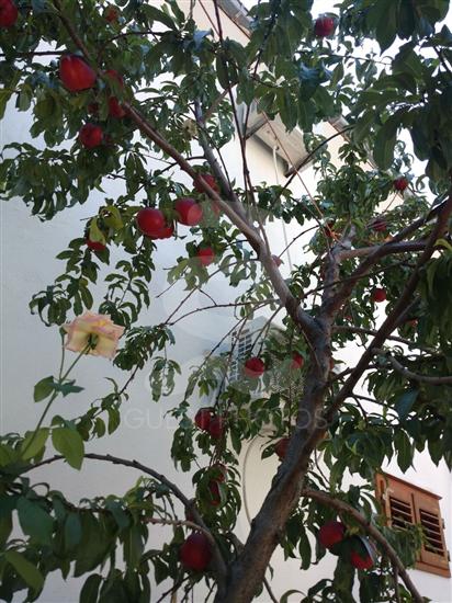 Апартаменты Martin