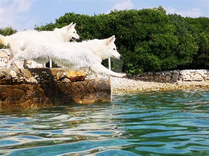 House Hacienda Stoerman