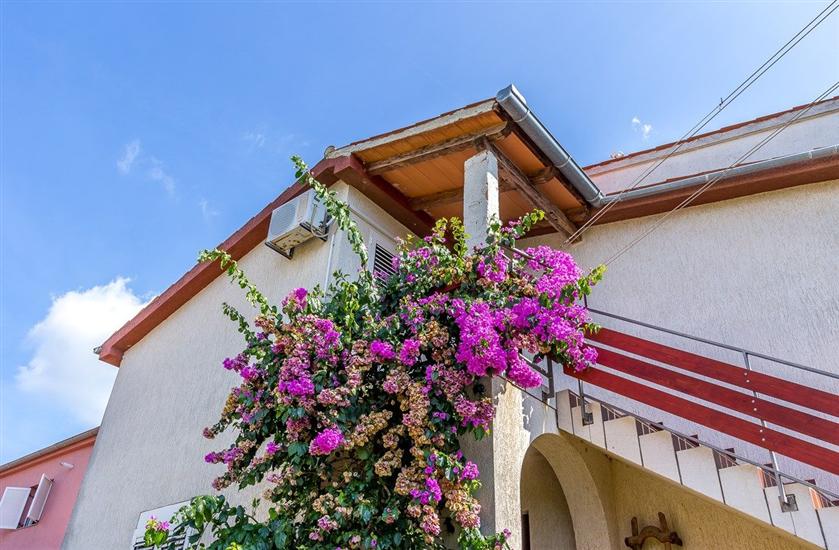 Apartment Casa Ziskovi