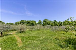 Apartament - Valbandon