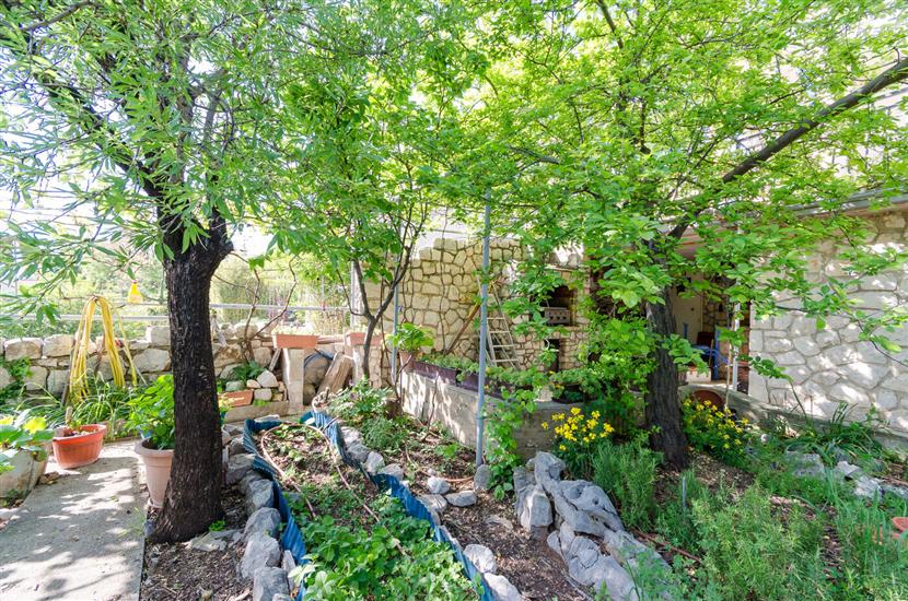 Apartments and Room Drazen