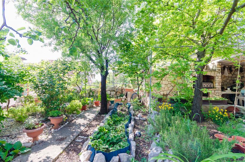 Apartments and Room Drazen