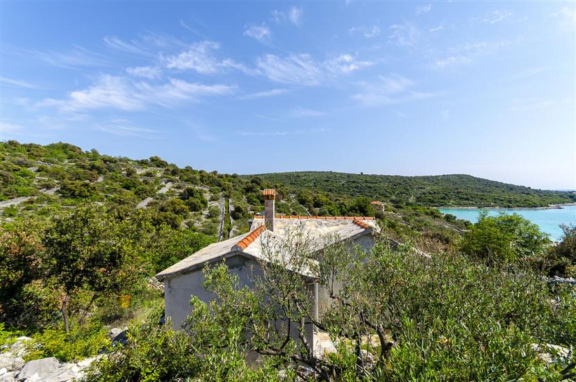 House Small Robinson