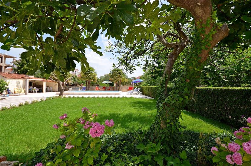 Apartments Vesna with pool