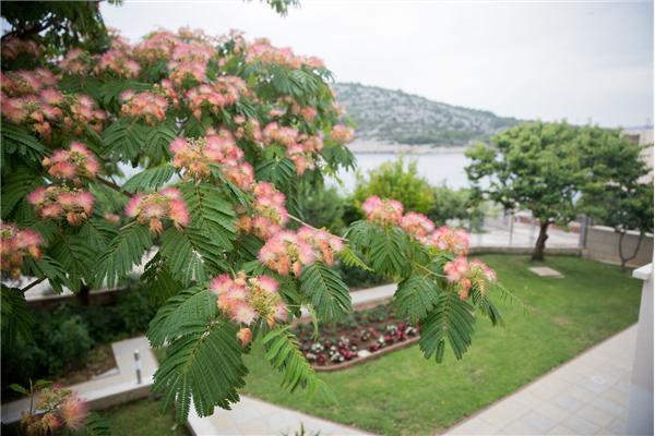 Apartment A3, for 4 persons