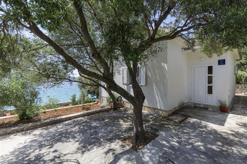 House Spirit of the sea