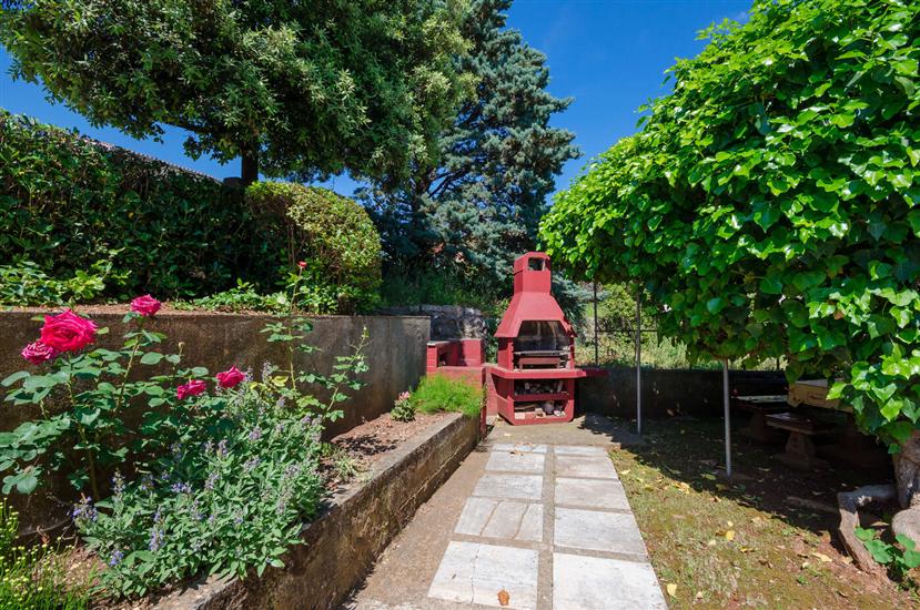 Apartments Lavanda-Kate