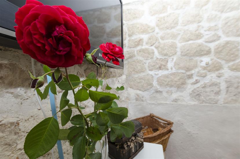 House K1, for 9 persons