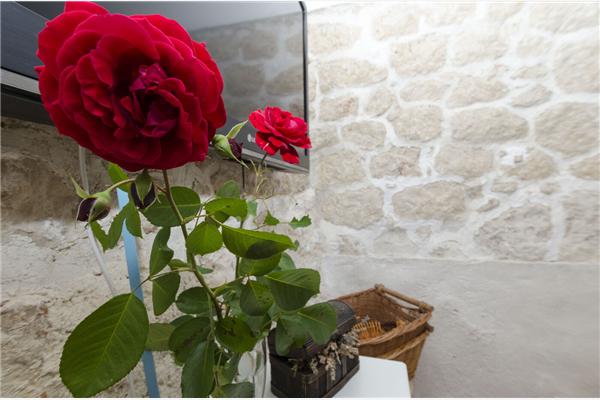 House K1, for 9 persons