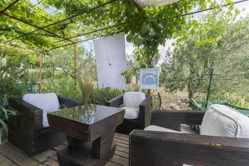 House Green Paradise