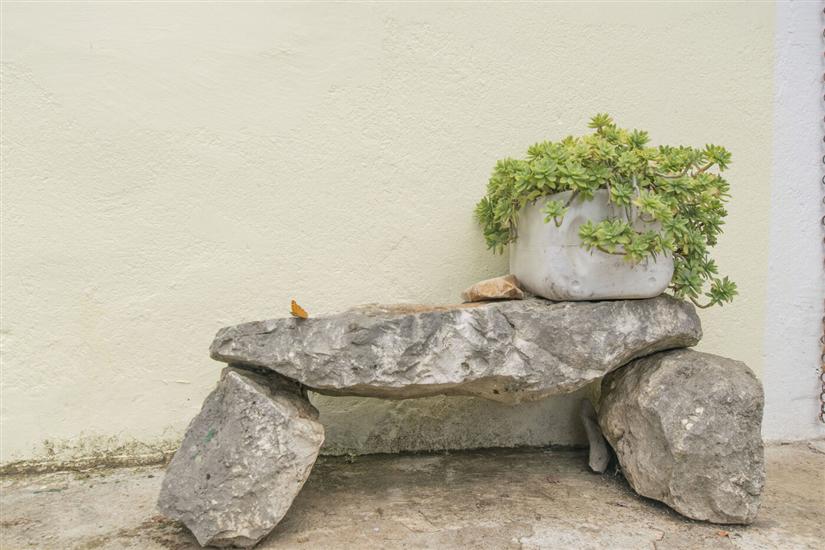 House Green Paradise