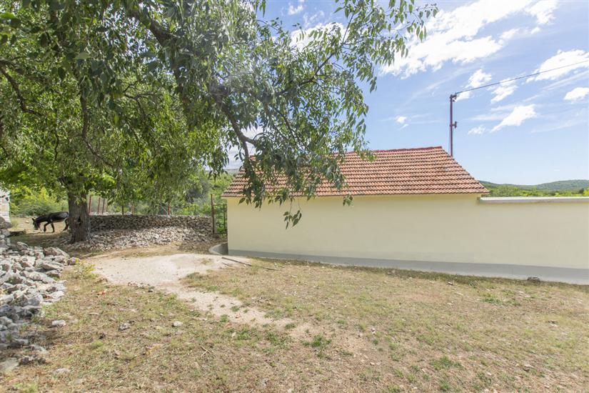 House Green Paradise