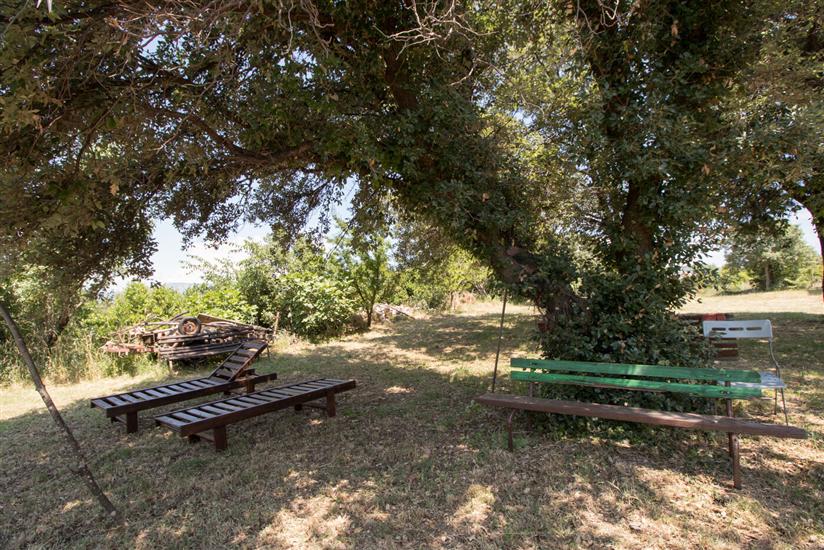 Apartments Josip by the sea