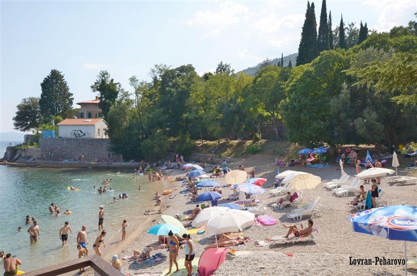 Apartment Stari Grad