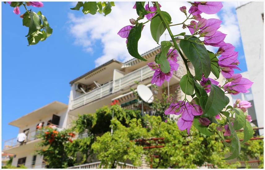 Ferienwohnungen Buffalo