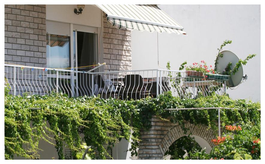 Ferienwohnungen Buffalo