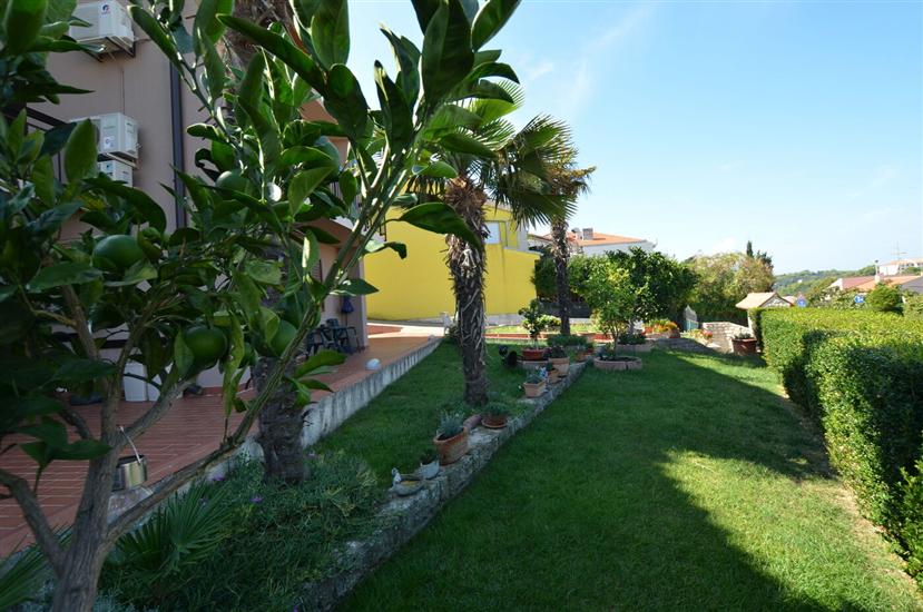 Apartments and Rooms Viktorija