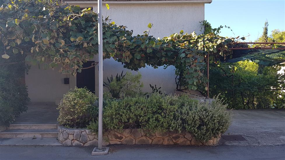 Apartments and Room Carić