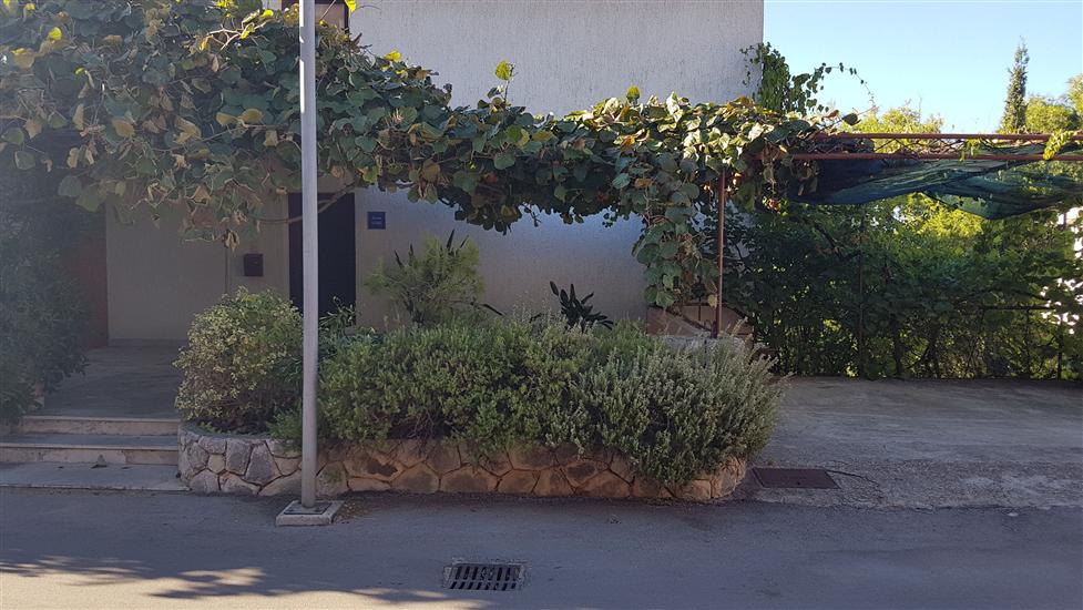 Apartments and Room Carić