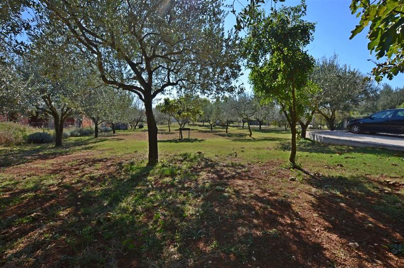 Apartment Mediteraneo